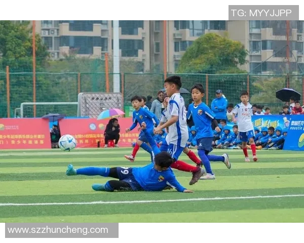 学习与足球的完美结合如何提升青少年的综合素质与团队合作能力